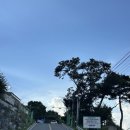 천안시국민여가캠핑장 이미지