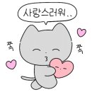 금장명가밀면 이미지