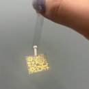 주)골드미인 이미지