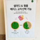 혜화 샐러드 맛집 샐러디 메뉴 동원참치마요웜볼 칼로리 참치 샐러드 추천 후기