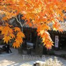 가을걷기코스 이미지