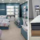 알레르망 이미지