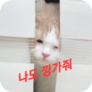 (주)미리본 이미지