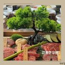 강릉 소고기 맛집 모임장소 한우원 내돈내산 후기