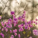 산과들과바다와함께 이미지