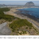 NR-5[경북대로]-하-464 | 제주도 사람 발자국 화석이 문화재로 지정되기까지