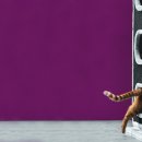 가방위에 고양이 이미지