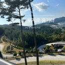 스카이레저 | 통영 스카이루지 기장 스카이라인 루지 부대시설 소요시간 코스 차이점