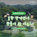 제4회 포항 장기유배문화제 이미지