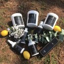 마이슈가왁싱 이미지