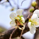 문경새재길 이미지