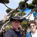 하의3도농민운동기념관 이미지