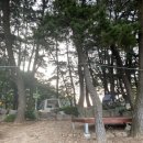 사촌해수욕장야영장 이미지