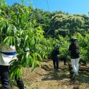 추풍령면사무소 이미지