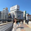 [행복한학교]일본도시여행(오사카편)-아무도 알려주지 않았던 도시전설 | 도쿄 3박 4일 자유여행 코스 추천 팡메종 츠지한 롯폰기 미드타운점 곤파치 예약 진보초 도쿄타워...