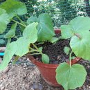 무성경로당 이미지