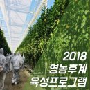 (주)지앤비여행사 이미지