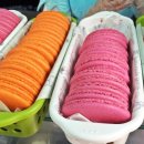 동화게임랜드 이미지