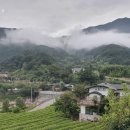 차시배지민박