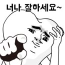 도도 동물병원 이미지