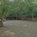 학교안 풍경 캠핑장 | 파주 캠핑 학교안 풍경캠핑장 가족과 함께 힐링