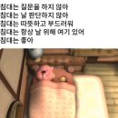 일과 이분의일 이미지