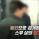 장미비디오 이미지