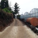 강정동-9 이미지