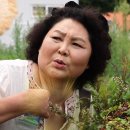 남해-225 이미지