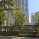 삼성마을수공인중개사사무소 | 해들마을5단지 세종시부동산 정보: 해들삼성공인중개사의 매물 소개 및 서비스 이용 팁
