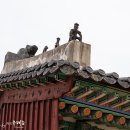 파주삼릉 이미지