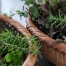 소금꽃정원 이미지