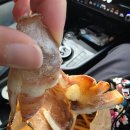 신토불이 투 이미지