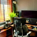 (주)이슈캐스터 | 하이엔드 명품 의자 휴먼스케일 프리덤, 1년 이상 사용한 찐 후기와 AS과정