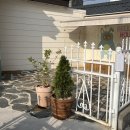 벨리하우스 이미지