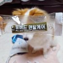 스마트덴탈 | 강아지 치석제거 덴탈껌 가스분해 츄 벨버드 덴탈케어 반려견콩떡이 솔직후기