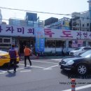 독도참가자미 이미지