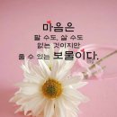 세상살이 이미지