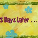 유성준동물병원 이미지