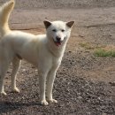 진도축산 이미지