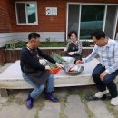 단양구운마늘소금