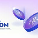 코스모스여화 이미지