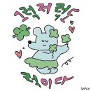 다사로운 5월의 나날들🌹