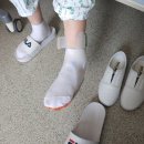 삼화의지보조기 이미지