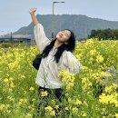 주식회사 제주마음렌트카 | 제주 렌트카 카모아 예약 후기 4월 제주도 여행 가볼만한곳