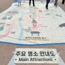 천연케이블 | 속초 아이와 가볼만한곳 ㅣ 설악산 케이블카 실패 후기, 신흥사 산책코스 추천