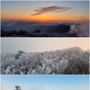 태백산 산행사진 4.30 이미지