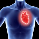 라이프짐 휘트니스 이미지