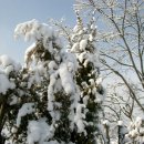 양촌리마을 이미지