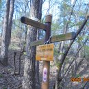 대정1리 이미지